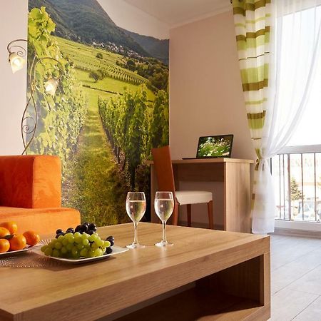 זיילונה גאורה Apartament Winnica Centrum מראה חיצוני תמונה